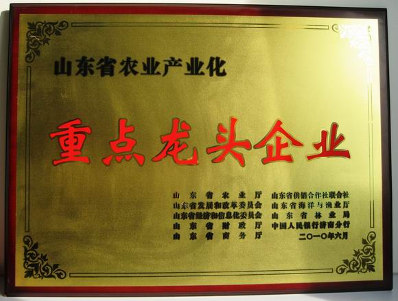 山東省農(nóng)業(yè)產(chǎn)業(yè)重點龍頭企業(yè)