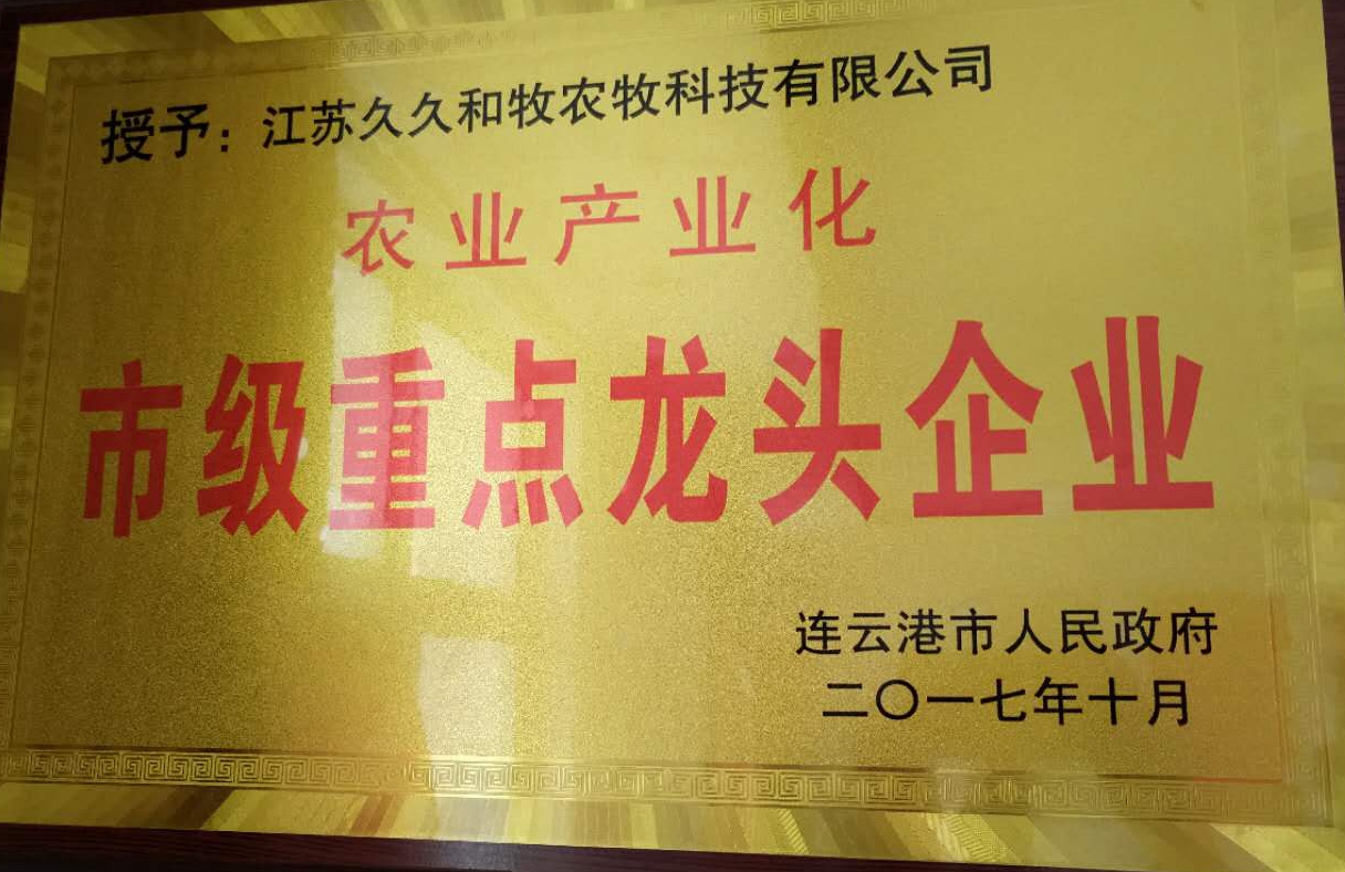 市級重點(diǎn)龍頭企業(yè)