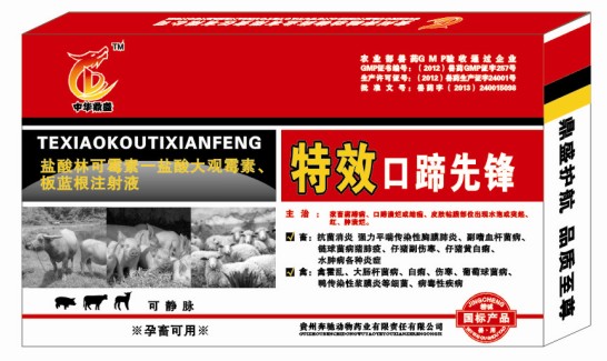 治豬五號(hào)病的藥，豬得五號(hào)病打啥針好，什么藥治豬五號(hào)病好